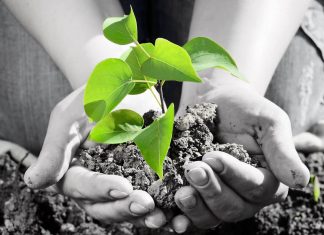 Thërrime urtësie 1