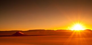 DORËZOJANI FËMIJËVE ÇELËSAT E SUKSESIT