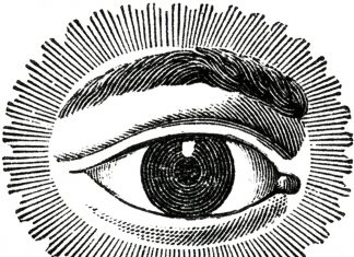 Ndjenja më mizore, smira