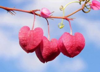 Turpi është pjesë e besimit