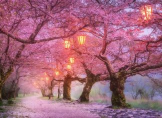 Besimi dhe rruga drejt orientimit