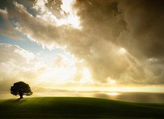 MESAZHE NGA JETA E PROFETËVE