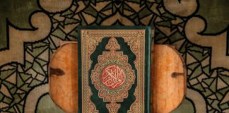 Dituria është thesari i myslimanit