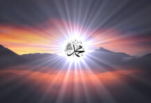 Mevludi si manifestim fetar