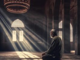Gazel – poezi nga Mevlana Xhelaleddin Rumi